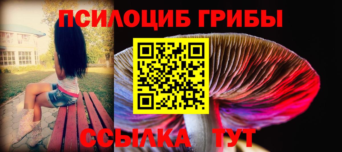 Галлюциногенные грибы Cubensis Верхний Уфалей