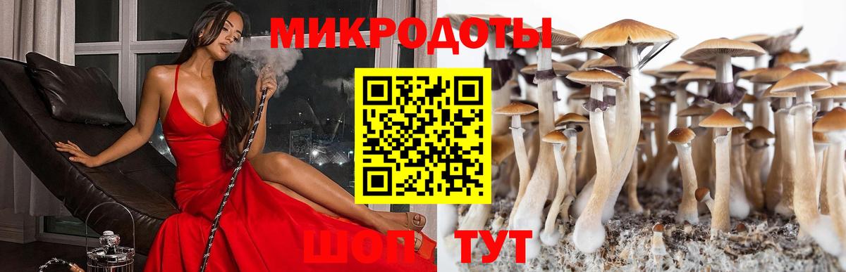 Верхний Уфалей  Псилоцибиновые грибы ЛСД  Вход с VPN 